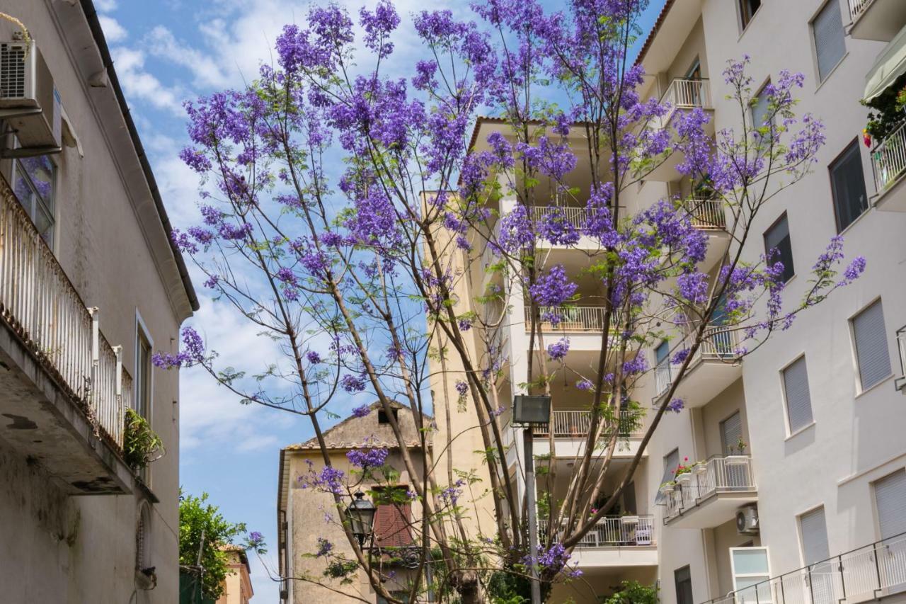 Sorrentovibes - Luxury Four Bedroom Home With Amazing Terraces In Sorrento Bagian luar foto